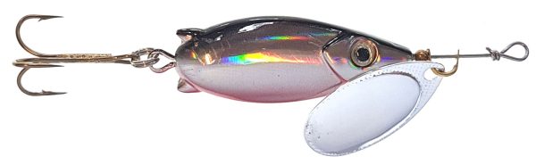 Bingon 17g