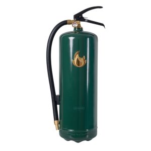Brandsläckare pulver 6kg 55A grön/guld Design