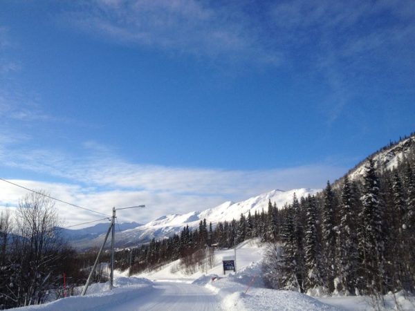 Te Kittelfjäll Svart 100g