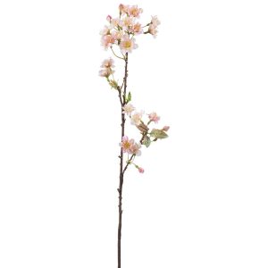 Körsbärsblom 60cm