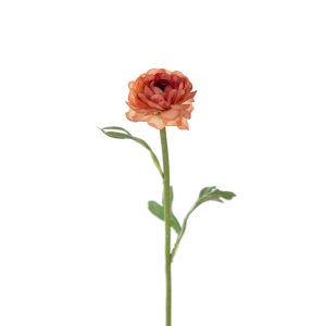 Ranuncel 35 cm