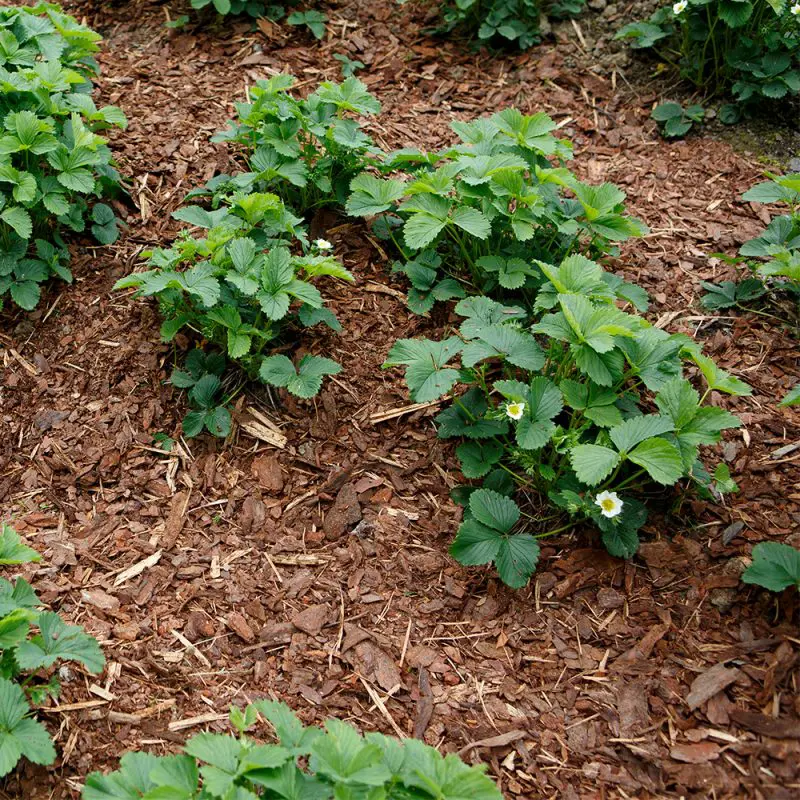 Täckbark 40L Hasselfors - Bild 2