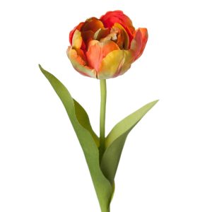 Tulpan 36 cm Orange