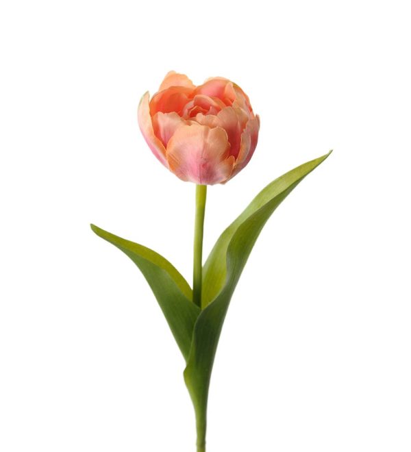Tulpan 36 cm Rosa-orange