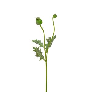 Vallmokapsel 75cm